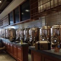 1000L啤酒设备糖化罐+发酵罐精酿啤酒设备厂家提供技术指导