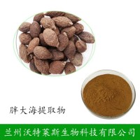 胖大海提取物 胖大海粉10:1规格