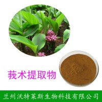 莪术提取物10:1  莪术粉  现货包邮