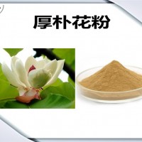 厚朴花速溶粉 厂家发货 厚朴花粉