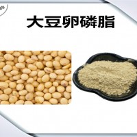 大豆卵磷脂 大豆提取物 食品原料 生产厂家