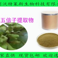 五倍子果实 五倍子提取物 鞣花酸