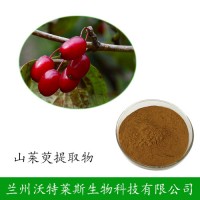 山茱萸提取物10：1 山茱萸纯粉 原料