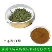 白茶提取物 白茶多肽 白茶粉 白茶提取液 白茶浸膏