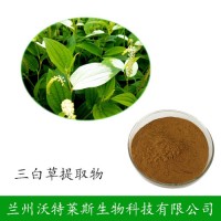 三白草提取物 三白草多肽 水木通/五路白提取物 三白草提取液