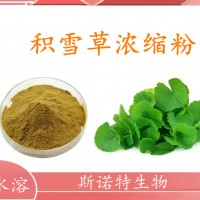 积雪草浓缩粉 水溶性好 积雪草提取物 工厂直发
