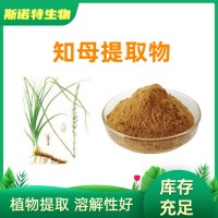 知母提取物10:1 SC源头厂家现货供应 水溶性知母粉