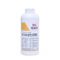 水溶性大蒜精油MY2108