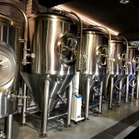 广东酒吧啤酒设备 精酿原浆啤酒设备 自酿小型啤酒设备