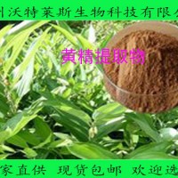 黄精提取物 10:1 黄精粉 现货供应