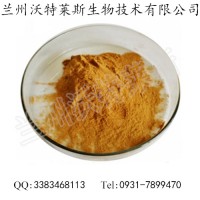 艾纳香原粉   艾纳香提取物   兰州沃特莱斯生物  包邮
