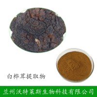 白桦茸提取物 10:1比例 白桦茸多糖