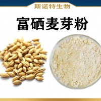 富硒麦芽粉 水溶性 食品级原料富硒麦芽速溶粉