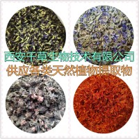 葱叶提取物葱叶浓缩粉葱叶浸膏粉 供应各类提取物
