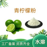 青柠檬粉 青柠檬果粉 果汁粉 青柠檬浓缩粉