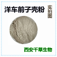 洋车前子壳粉 西安千草生物供应各类提取物