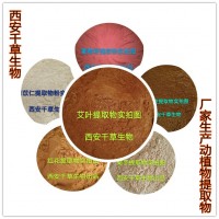 四季青提取物 厂家生产植物提取物供应浓缩浸膏 供应各类提取物