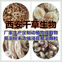 水溶性苦丁茶提取物苦丁茶粉 厂家供应多规格苦丁茶浓缩原液