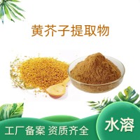 黄芥子提取物 速溶黄芥子粉 植物浓缩原料