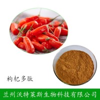 枸杞多肽 枸杞糖肽 水溶枸杞多糖肽 小分子枸杞多肽