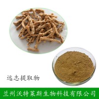 远志提取物 远志皂甙 远志粉  现货包邮