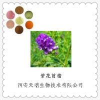 苜蓿籽粉销售