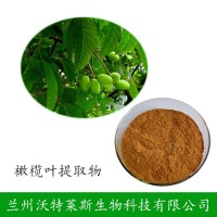橄榄叶 植物提取物 橄榄苦甙 现货包邮