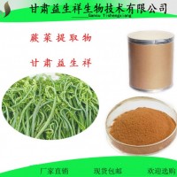 蕨菜膳食纤维粉   蕨菜提取物 纤维粉甘肃益生祥