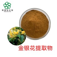 金银花提取物 速溶金银花粉 量大优惠 厂家发货