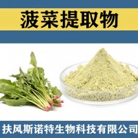 菠菜提取物 菠菜粉 食品级原料菠菜速溶粉