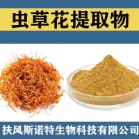 虫草花提取物 虫草花粉 食品级原料虫草花速溶粉