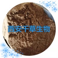 蒲公英提取物蒲公英水溶粉蒲公英烘焙干燥粉