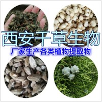 山莴苣提取物 厂家生产植物提取物定制混合浓缩浸膏干膏