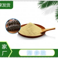 海参肽厂家供应现货