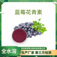 蓝莓花青素 含量25% 蓝莓提取物
