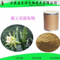 霸王花提取物 10:1 剑花/霸王鞭/量天尺/火龙果花