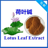 荷叶碱2% 荷叶提取物 HPLC检测 厂家供应