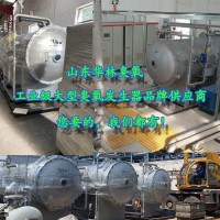 山东华林3kg烟气脱硫脱硝臭氧发生器价格