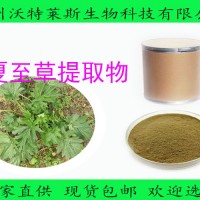 夏至草提取物10:1 速溶 夏至草粉 包邮