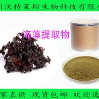 海藻提取物 10:1 厂家直销海藻萃取粉原料