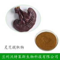 灵芝子实体粉 灵芝提取物  沃特莱斯供应  1公斤起订
