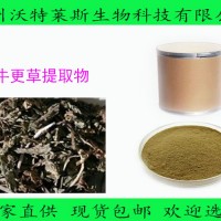 牛更草提取物 规格水溶10:1牛更草粉