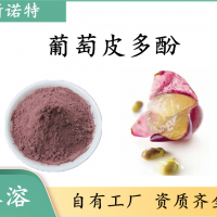葡萄皮多酚 葡萄皮提取物 水溶性好 食品 固体饮料原料 包邮