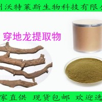 穿地龙 植物提取物 薯蓣皂苷 穿地龙提取物