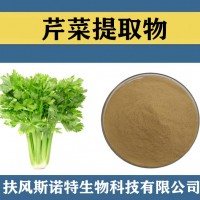 芹菜提取物 水溶性芹菜粉 食品级原料芹菜速溶粉