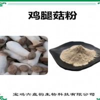 鸡腿菇浓缩粉 水溶性食品原料 鸡腿菇粉