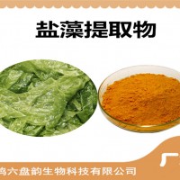 盐藻提取物 新资源食品原料 盐藻粉 β-胡萝卜素