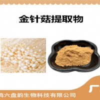 金针菇提取物 植物提取物 金针菇粉 食品原料