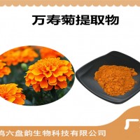 万寿菊提取物 植物提取物 万寿菊粉 比例提取