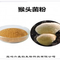 猴头菌浓缩粉 多种规格 猴头菌粉 比例可定制